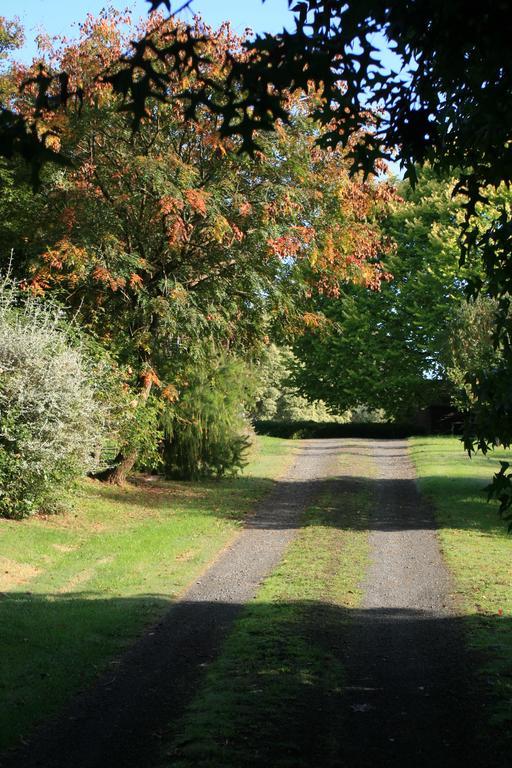 Strathmore Farm B&B Mirboo North Dış mekan fotoğraf