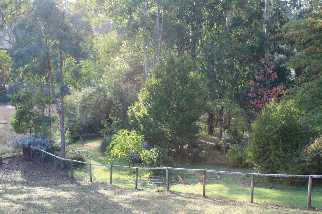 Strathmore Farm B&B Mirboo North Dış mekan fotoğraf