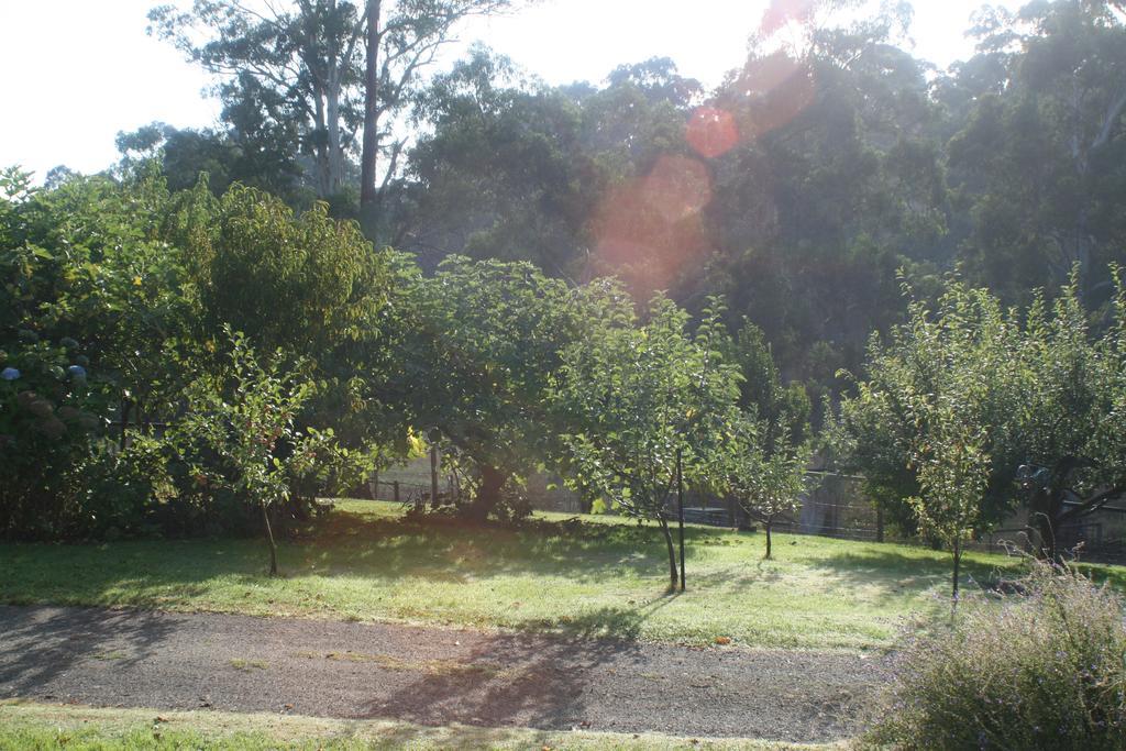 Strathmore Farm B&B Mirboo North Dış mekan fotoğraf