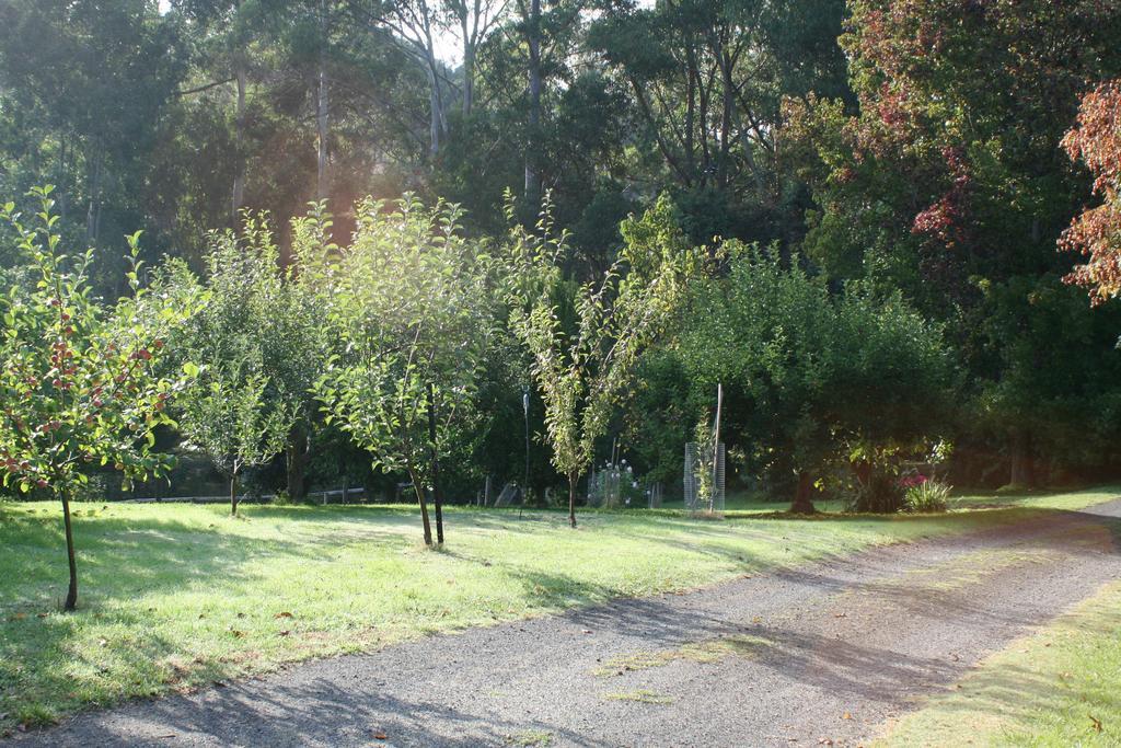 Strathmore Farm B&B Mirboo North Dış mekan fotoğraf