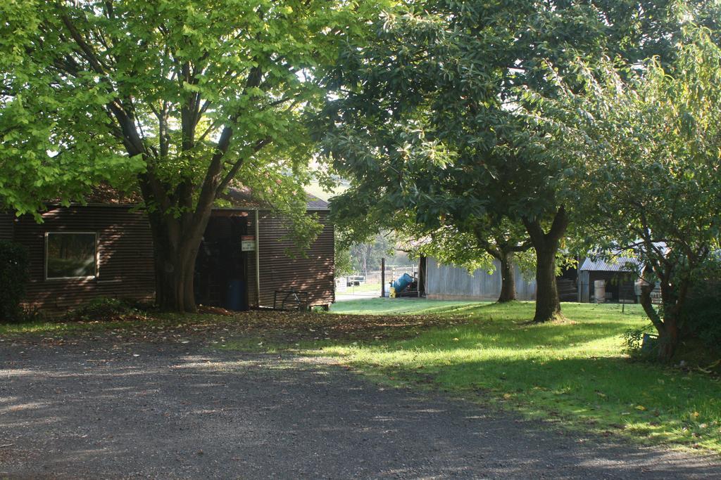 Strathmore Farm B&B Mirboo North Dış mekan fotoğraf
